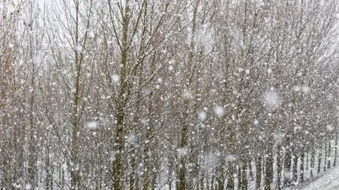 más de 30 provincias en alerta más de 30 provincias en alerta