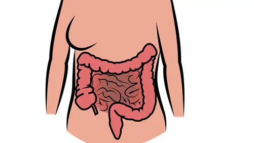 Nuevo m&eacute;todo para identificar el c&aacute;ncer de colon