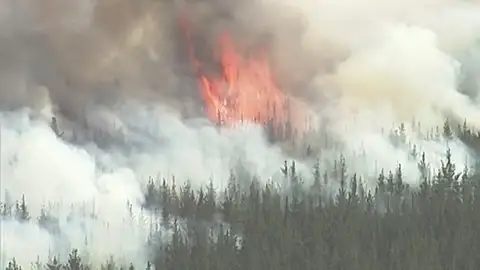 Los incendios en Australia dejan cuatro muertos y un millón de hectáreas calcinadas Los incendios en Australia dejan cuatro muertos y un millón de hectáreas calcinadas
