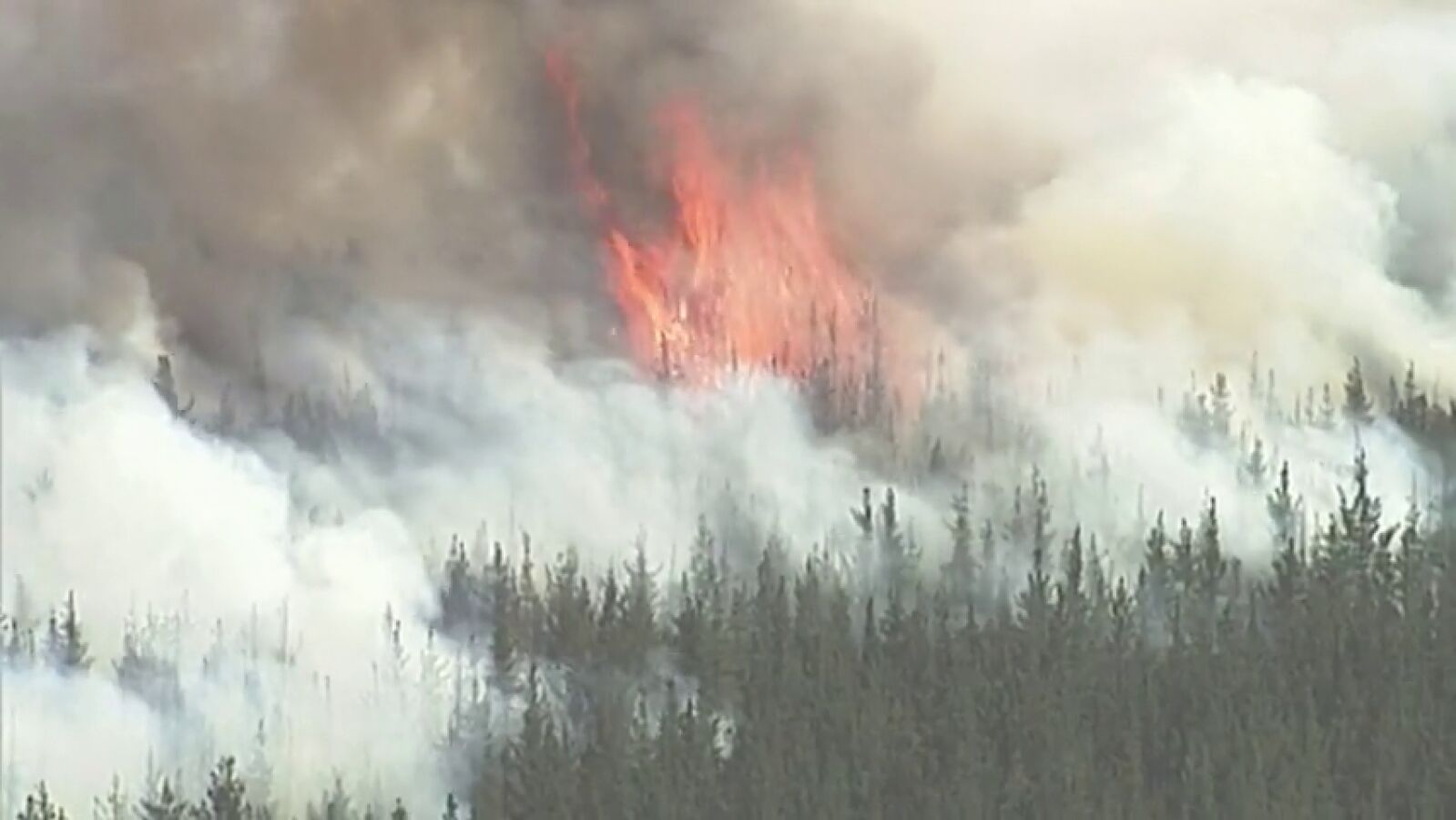 Los incendios en Australia dejan cuatro muertos y un millón de hectáreas calcinadas