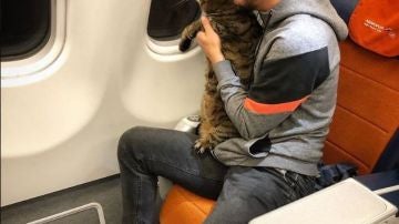 Un pasajero cuela en la cabina del avión a su gato, que pesaba demasiado para volar