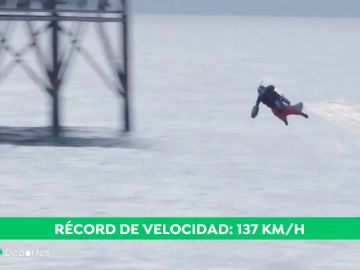 volador_pajaro