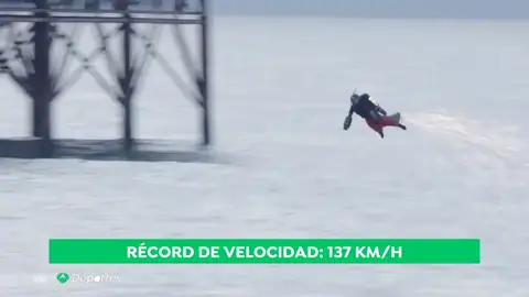 volador_pajaro volador_pajaro