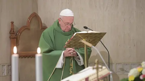 El papa a favor de introducir el "pecado ecológico" en el catecismo católico El papa a favor de introducir el "pecado ecológico" en el catecismo católico