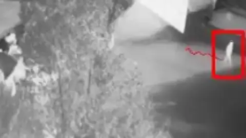 Graban el momento en el que varios hombres roban minerales de una pedrera en Barcelona Graban el momento en el que varios hombres roban minerales de una pedrera en Barcelona