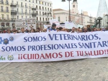Los veterinarios se manifiestan en Madrid 