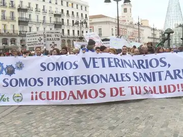 Los veterinarios se manifiestan en Madrid Los veterinarios se manifiestan en Madrid