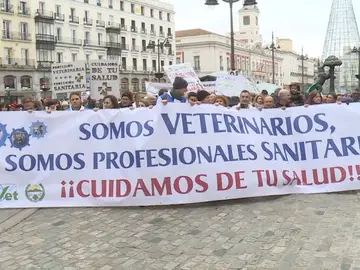 Los veterinarios se manifiestan en Madrid Los veterinarios se manifiestan en Madrid