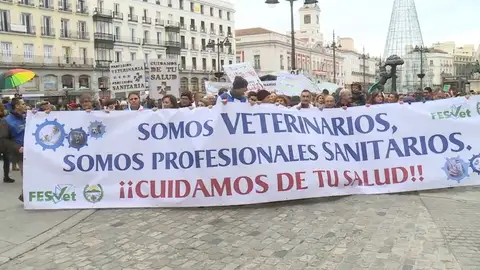 Los veterinarios se manifiestan en Madrid Los veterinarios se manifiestan en Madrid