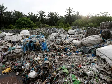 Devolverán contenedores de plástico a Reino Unido Devolverán contenedores de plástico a Reino Unido