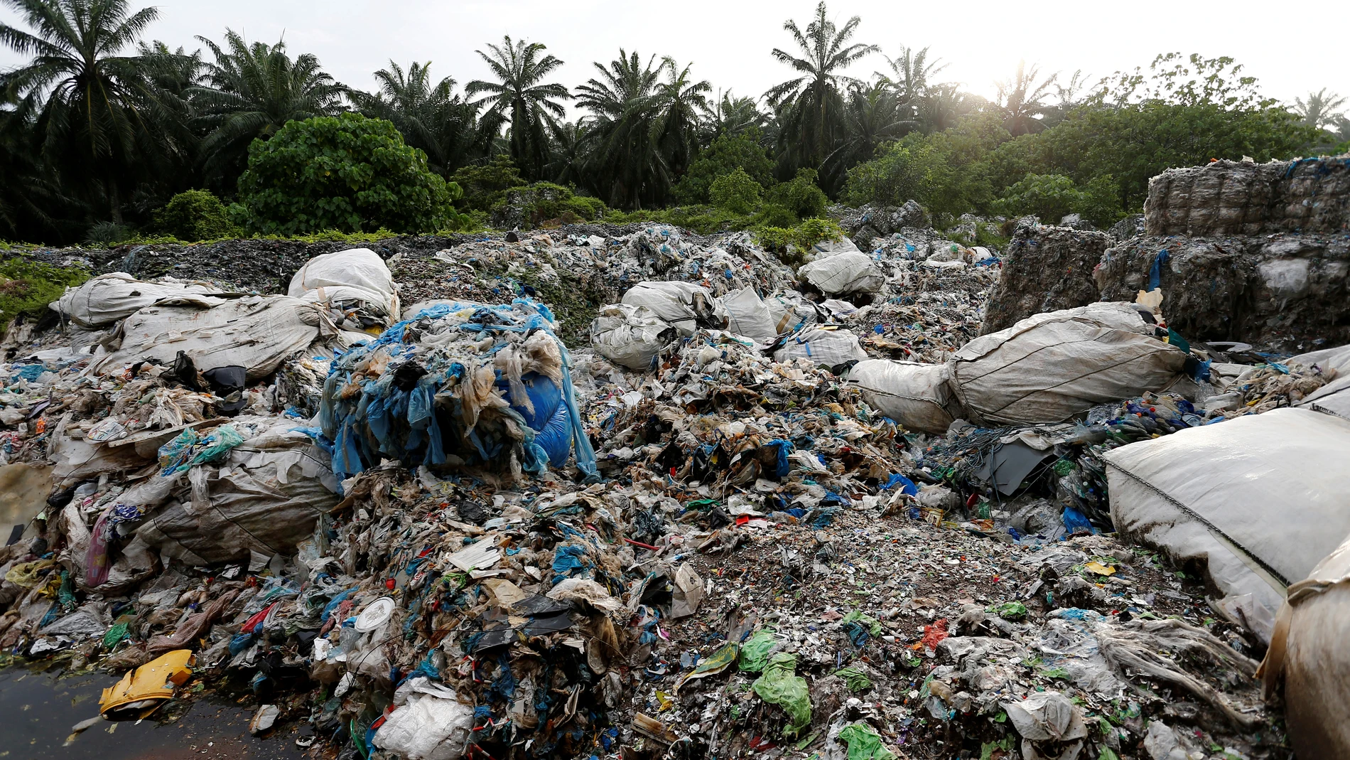 Devolverán contenedores de plástico a Reino Unido Devolverán contenedores de plástico a Reino Unido