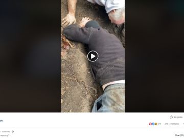 Rescataron a su perro Rescataron a su perro