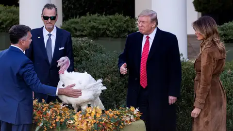 Uno de los pavos indultados por Trump Uno de los pavos indultados por Trump