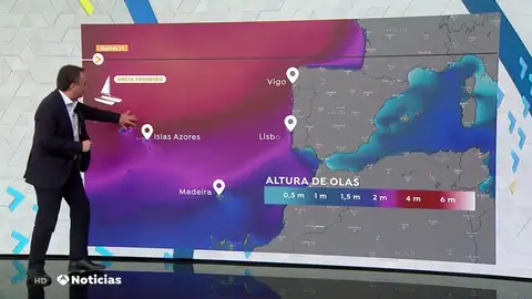 GRETA GRETA