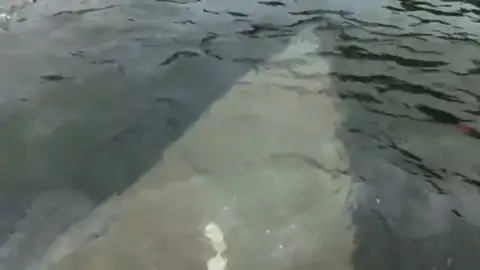 Comienza a hundirse el narcosubmarino cargado con tres toneladas de cocaína Comienza a hundirse el narcosubmarino cargado con tres toneladas de cocaína