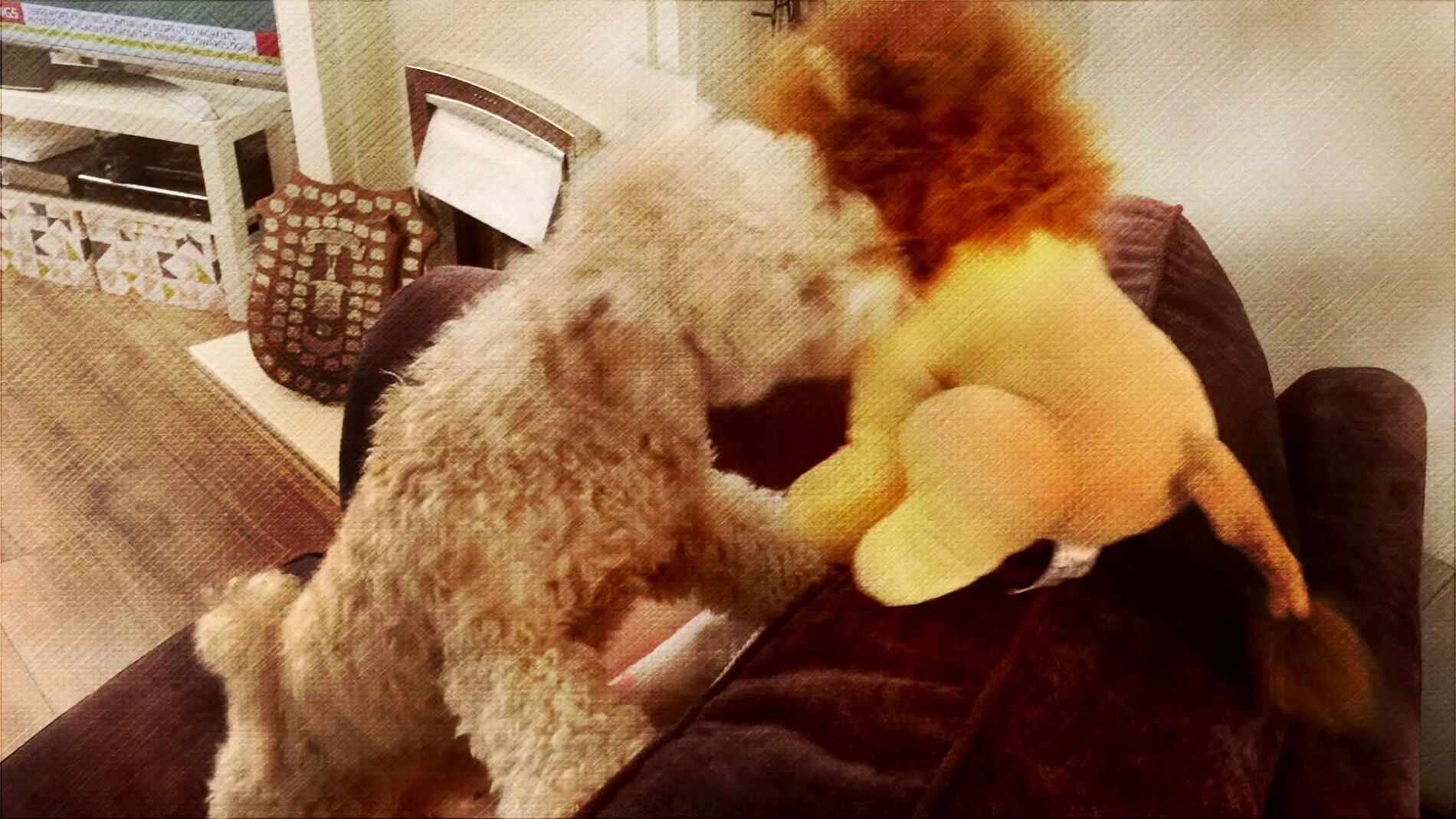 Bowie con el peluche