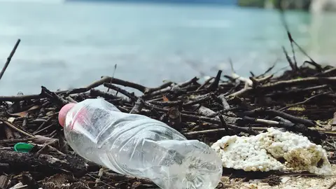 Un alto porcentaje de los plásticos que desechamos acaba en vertederos o en el medio ambiente. Ecología