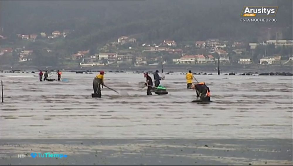 Las intensas lluvias en Galicia harán que suba el precio del marisco esta Navidad