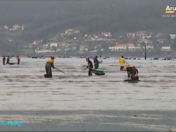 Las intensas lluvias en Galicia harán que suba el precio del marisco esta Navidad