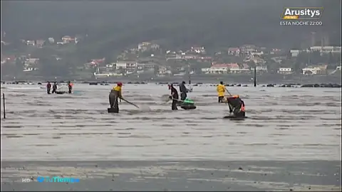 Las intensas lluvias en Galicia harán que suba el precio del marisco esta Navidad Las intensas lluvias en Galicia harán que suba el precio del marisco esta Navidad