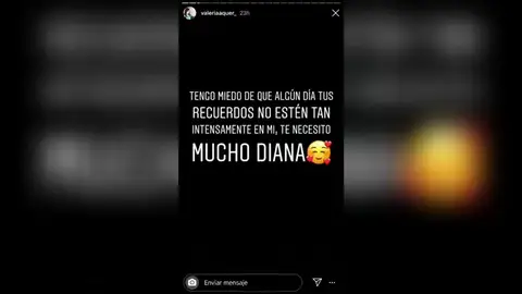 Valeria Quer, sobre Diana: "Tengo miedo de olvidar todo lo que la vida nos dejó vivir antes de llevarte" Valeria Quer, sobre Diana: "Tengo miedo de olvidar todo lo que la vida nos dejó vivir antes de llevarte"