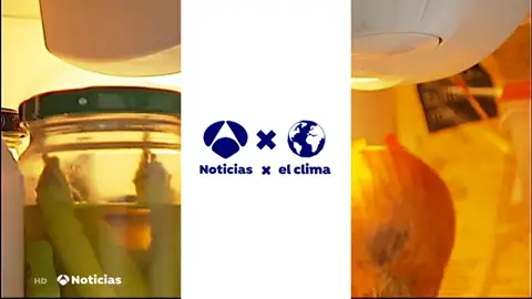 NUEVA CONSEJOS NUEVA CONSEJOS