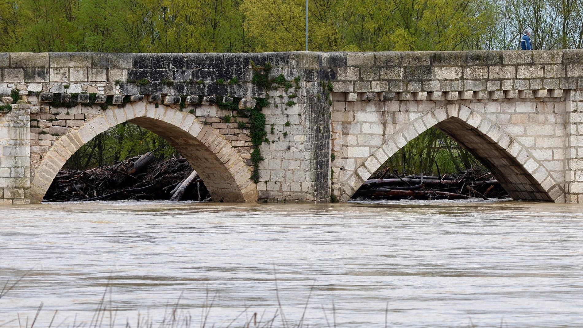 Río Pisuerga en Valladolid Río Pisuerga en Valladolid