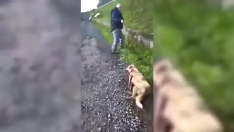 Un cazador dispara y golpea a su perra porque "puede pegar tiros a quien le sale de los cojones" Un cazador dispara y golpea a su perra porque "puede pegar tiros a quien le sale de los cojones"