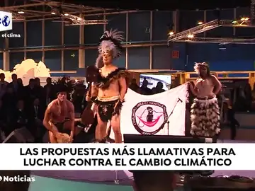 Las curiosidades de la Cumbre del Clima Las curiosidades de la Cumbre del Clima