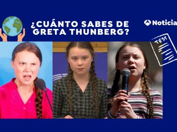 Test Greta Thunberg