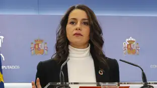 Inés Arrimadas, en una comparecencia en el Congreso de los Diputados. Inés Arrimadas, en una comparecencia en el Congreso de los Diputados.
