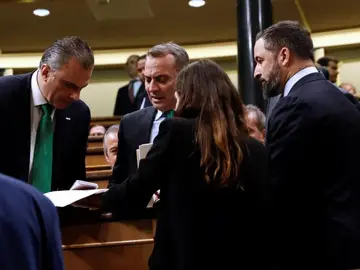 Los diputados de Vox en el Congreso Los diputados de Vox en el Congreso