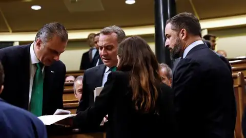 Los diputados de Vox en el Congreso Los diputados de Vox en el Congreso