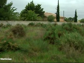 Asalto muy violento a una pareja de octogenarios en Novelda, Alicante