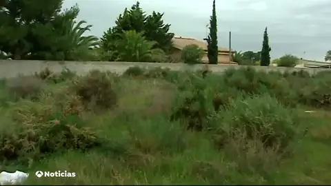 Asalto muy violento a una pareja de octogenarios en Novelda, Alicante Asalto muy violento a una pareja de octogenarios en Novelda, Alicante