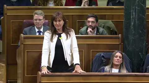 Diputados y senadores prometen la Constitución con fórmulas singulares Diputados y senadores prometen la Constitución con fórmulas singulares