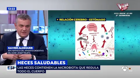 Xavier Aldeguer. heces