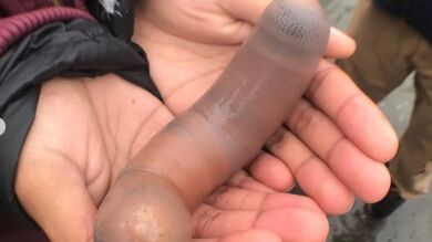 'Peces pene', los gusanos que han invadido las playas de California