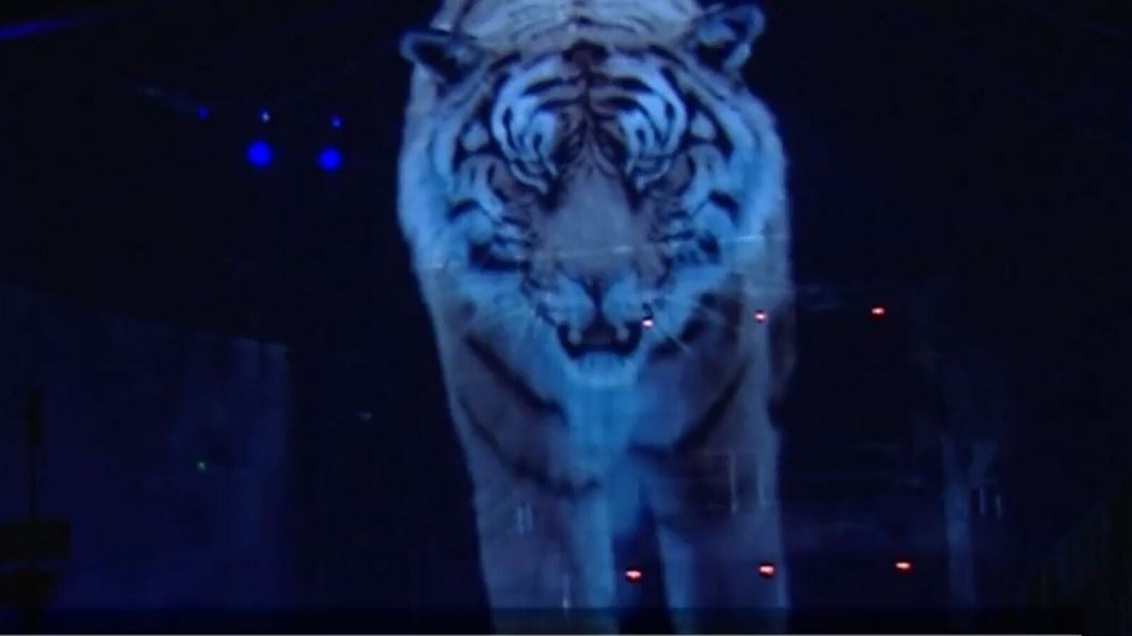 Holograma de animales, la última tendencia en los circos para evitar el maltrato animal