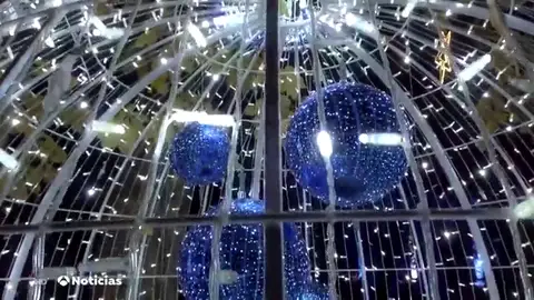botanico_navidad botanico_navidad