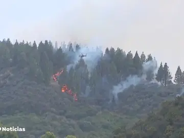 NUEVA JESUS DETENIDO NUEVA JESUS DETENIDO