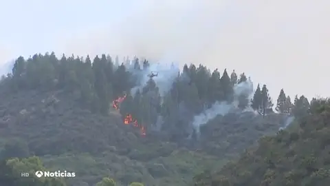 NUEVA JESUS DETENIDO NUEVA JESUS DETENIDO