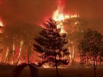 Australia queda devastada por el incendio