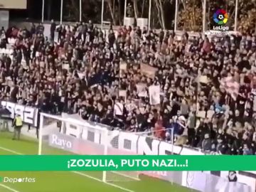 Suspenden el Rayo - Albacete en Vallecas por los gritos de "¡Zozulya p*** nazi!"