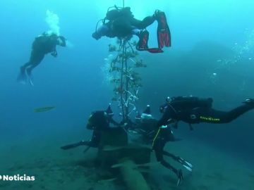 Instalan un árbol biodegradable de Navidad en las profundidades del mar en Tenerife