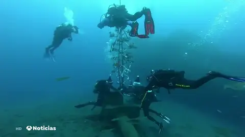 Instalan un árbol biodegradable de Navidad en las profundidades del mar en Tenerife Instalan un árbol biodegradable de Navidad en las profundidades del mar en Tenerife
