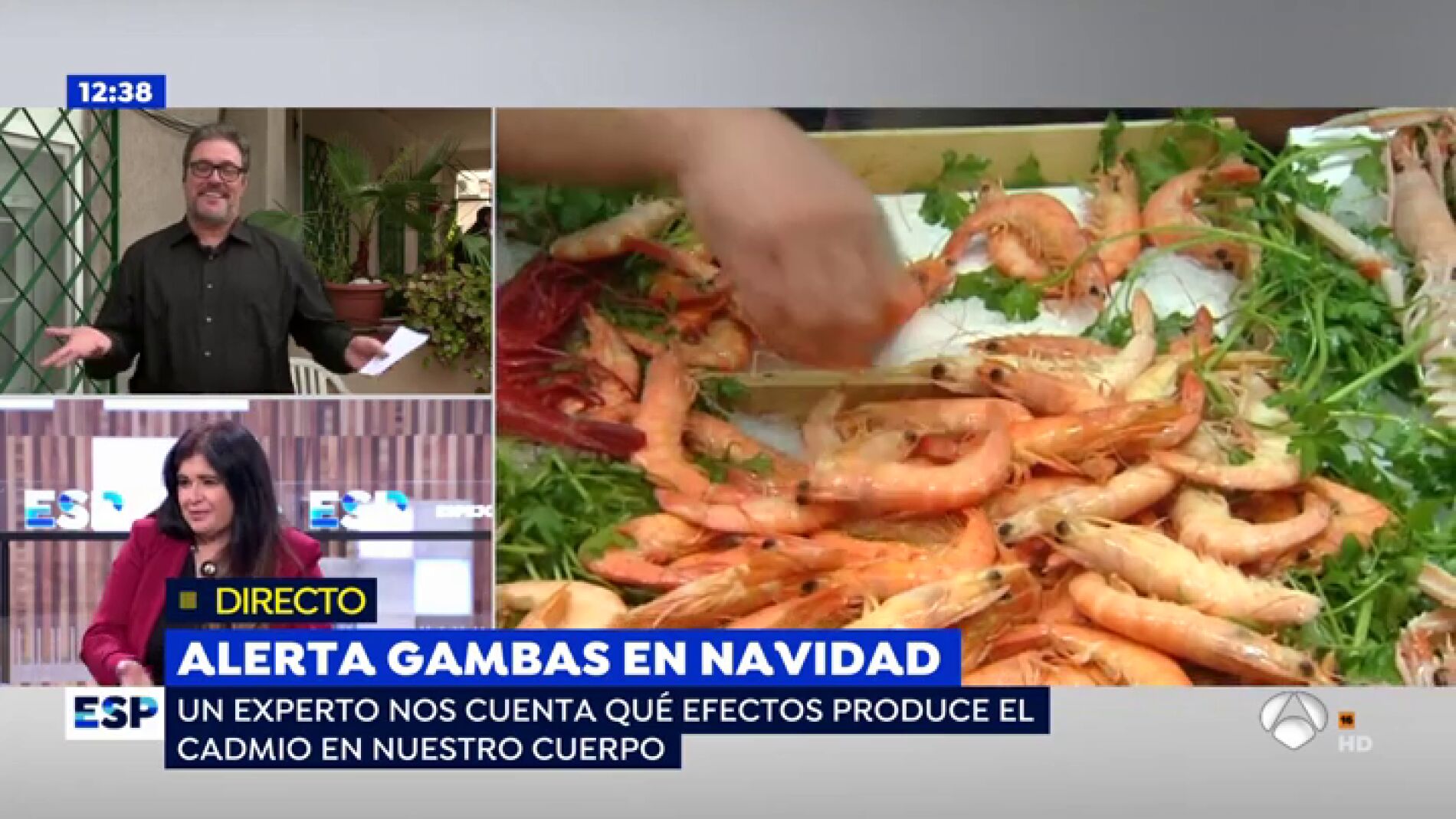 Alerta gambas
