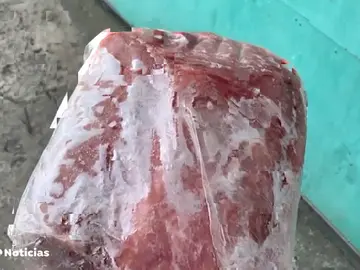 putin jamón putin jamón