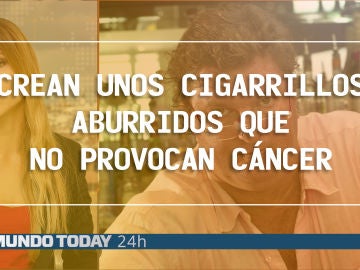 Cigarrillos que no provocan cáncer Cigarrillos que no provocan cáncer