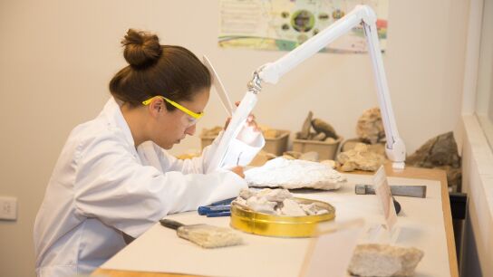 Imagen de archivo de una mujer cient&iacute;fica trabajando.